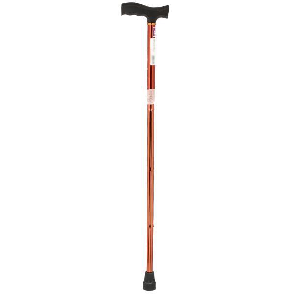 Walking Stick